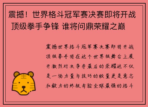 震撼！世界格斗冠军赛决赛即将开战 顶级拳手争锋 谁将问鼎荣耀之巅
